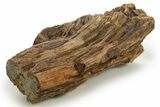 Triassic-Age Petrified Wood Log - Madagascar #378887-1